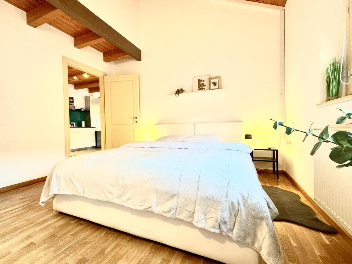 Apartmán The Loft Temešvár Exteriér fotografie